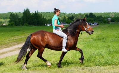 В селе Бастаново Сасовского района отметят Сабантуй
